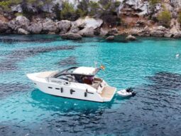 SEALINE SC 35 – REF 125V