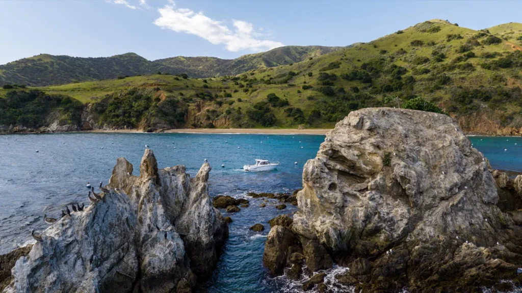 Antares 8 V2 - NUEVO