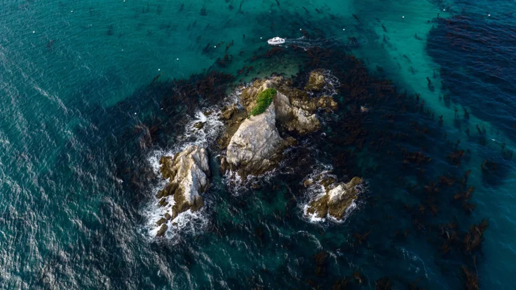 Antares 8 V2 - NUEVO